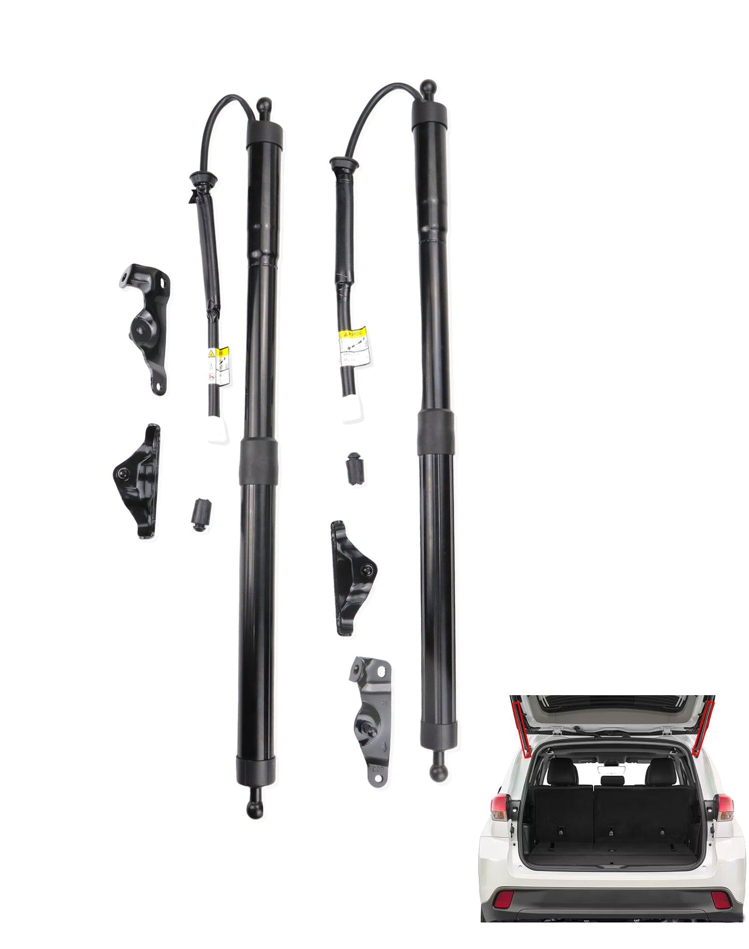 Liftgate Struts